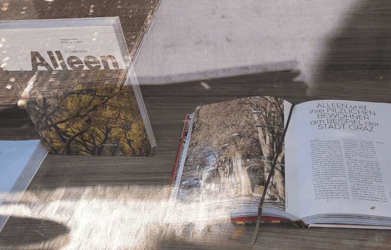 Das Buch ›Alleen in Österreich‹ im Schaufenster, daneben aufgeschlagen der Beitrag über Alleen und ihre pilzlichen Bewohner